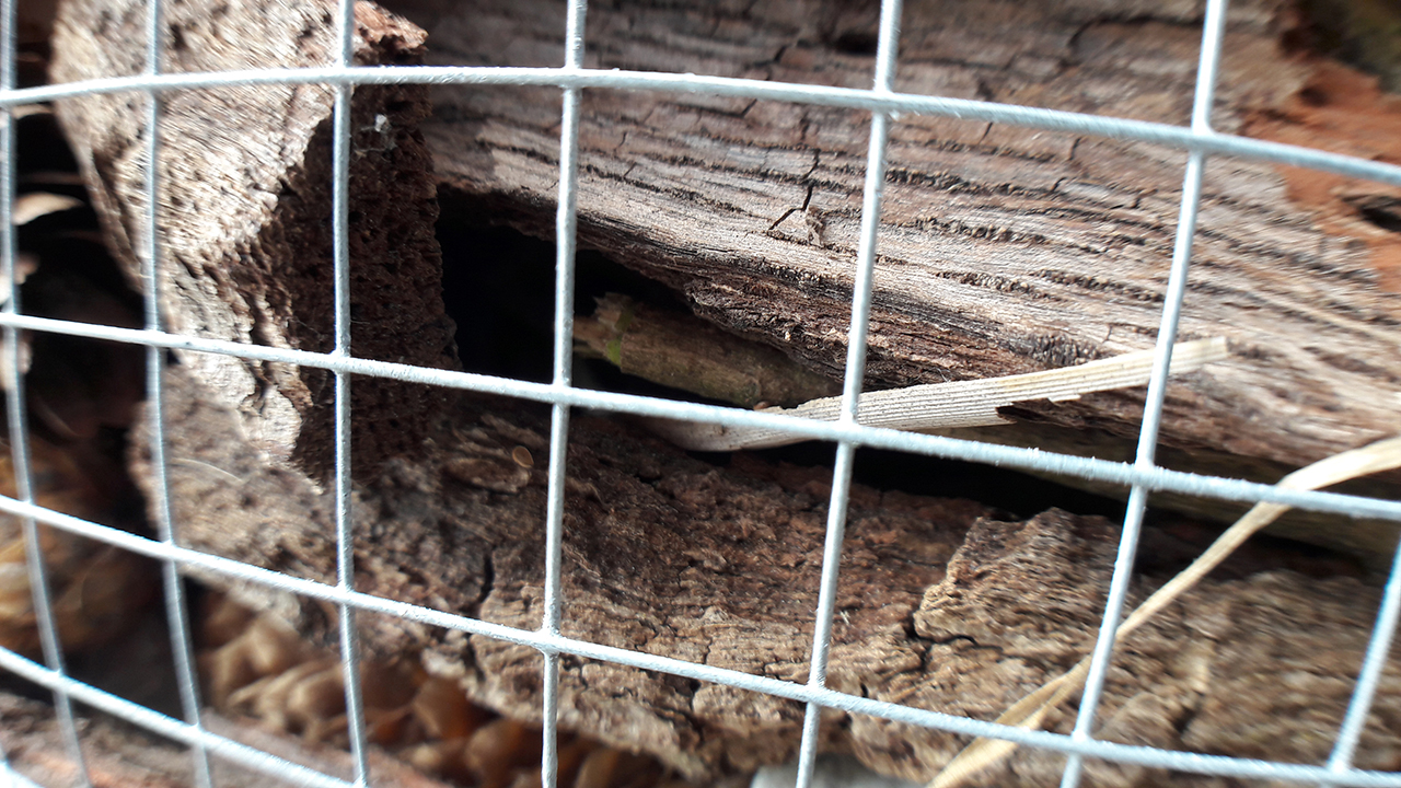 Insect Hotel Second Floor Bark Close Up